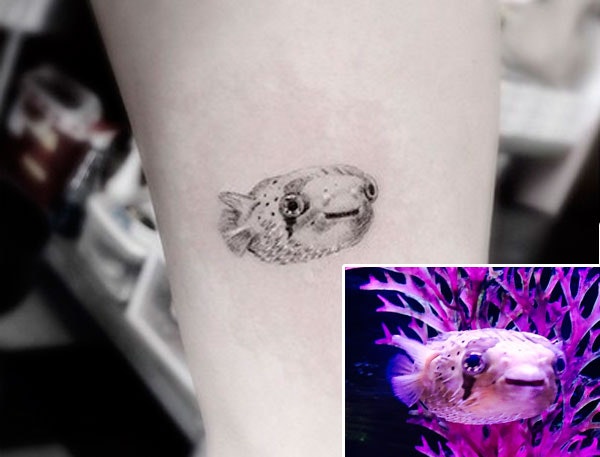 Miley Cyrus elsker sine dyr, det er der absolut ingen tvivl om. Men det er nok de færreste, der, ligesom stjernen, tatoverer portrætter af yndlingsdyrene, når de går bort. Sidste år fik Miley tatoveret et billede af sin afdøde, elskede hund Floyd, og nu har hun altså også fået et billede af sin afdøde fisk, PBF, på sin underarm. 