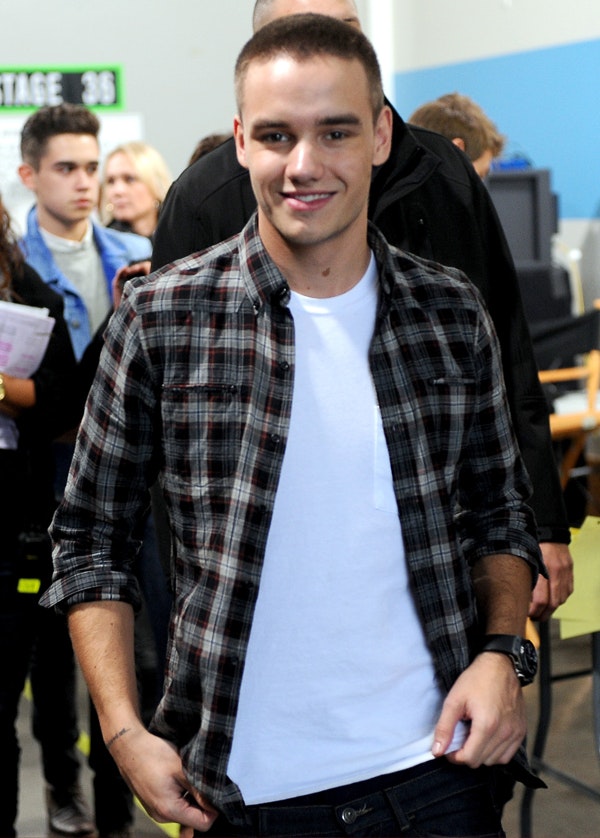 liam payne one direction fanfiction kærester koncert england